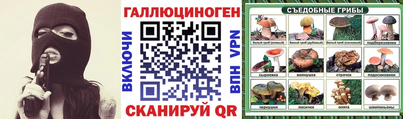 сколько стоит  Макаров  Галлюциногенные грибы Magic Shrooms 